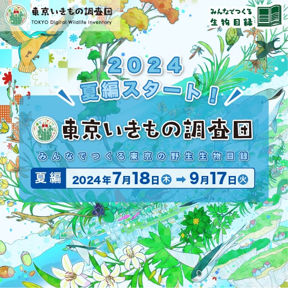東京いきもの調査団2024 夏編開始のお知らせ