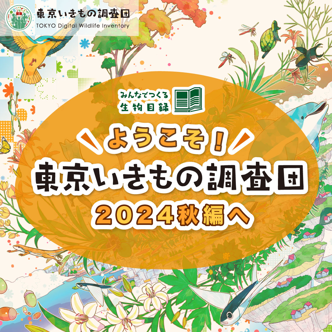 東京いきもの調査団2024 秋編開始のお知らせ